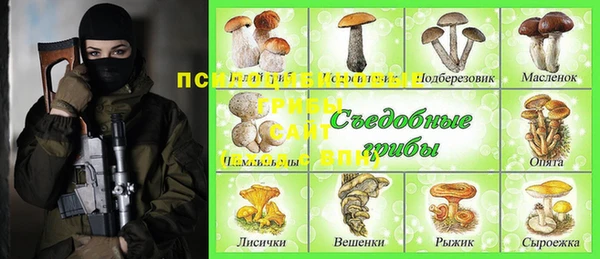 молекула духа Инсар