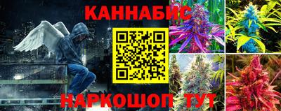 сатива Балахна