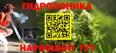 сатива Балахна