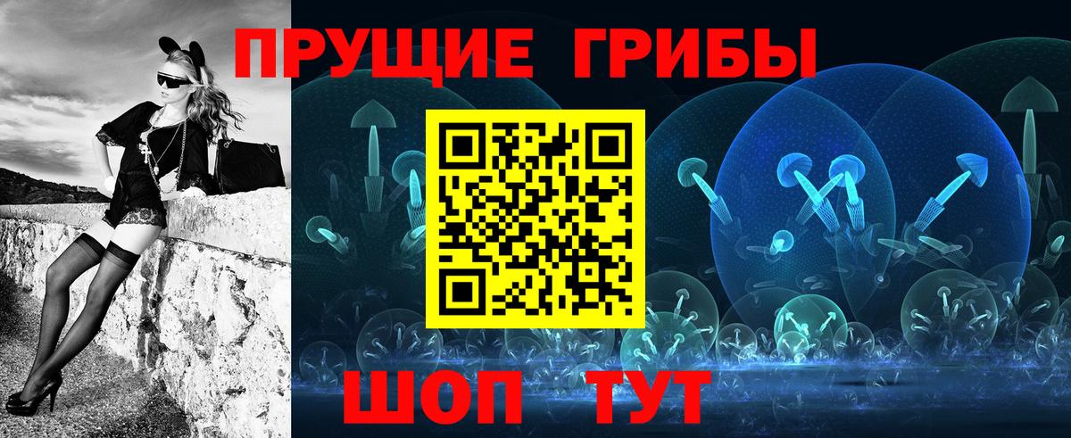 Галлюциногенные грибы Magic Shrooms  Вход с VPN  Брянск  Псилоцибиновые грибы MAGIC MUSHROOMS 