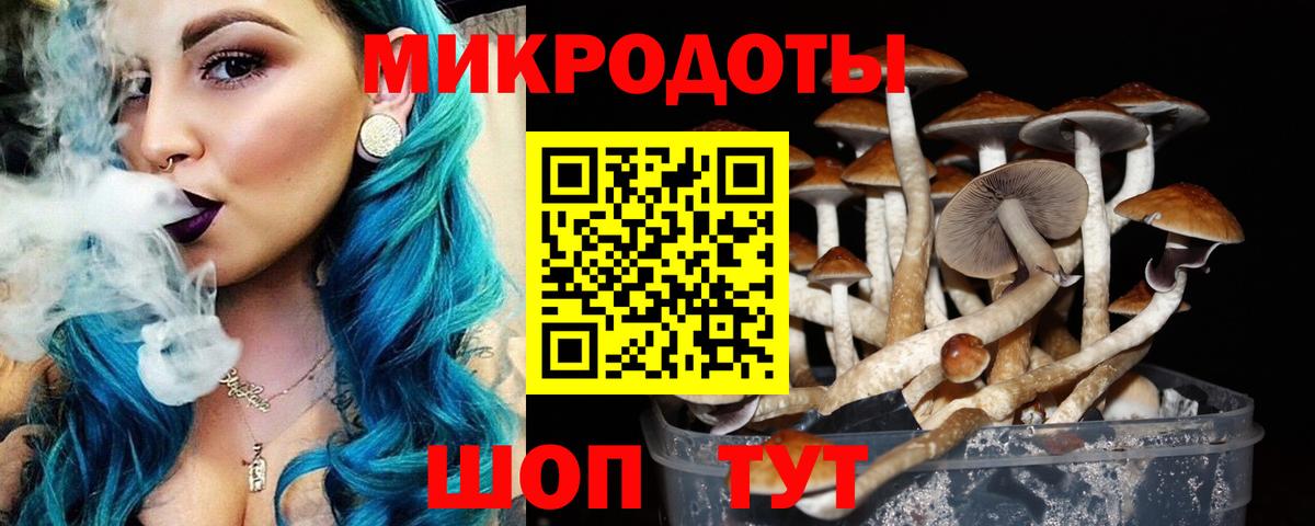 APVP Брянск